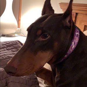 Meet your Posher, Sally